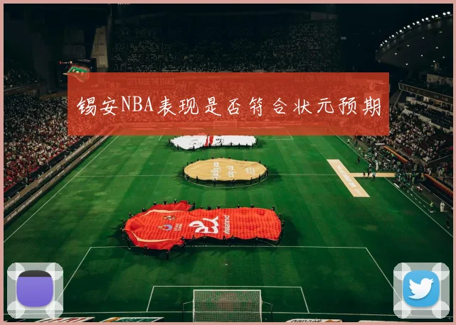 锡安NBA表现是否符合状元预期